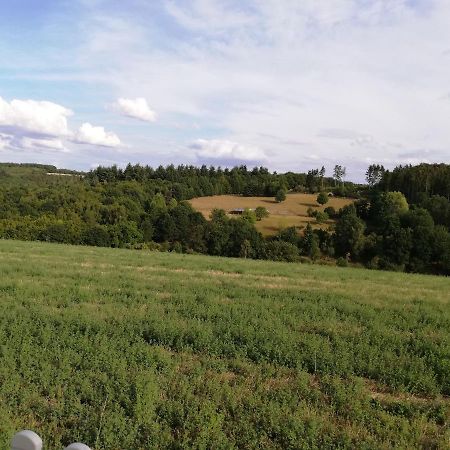 Ferienwohnung Altmaier - Ferien Auf Dem Lande Griebelschied Exterior photo