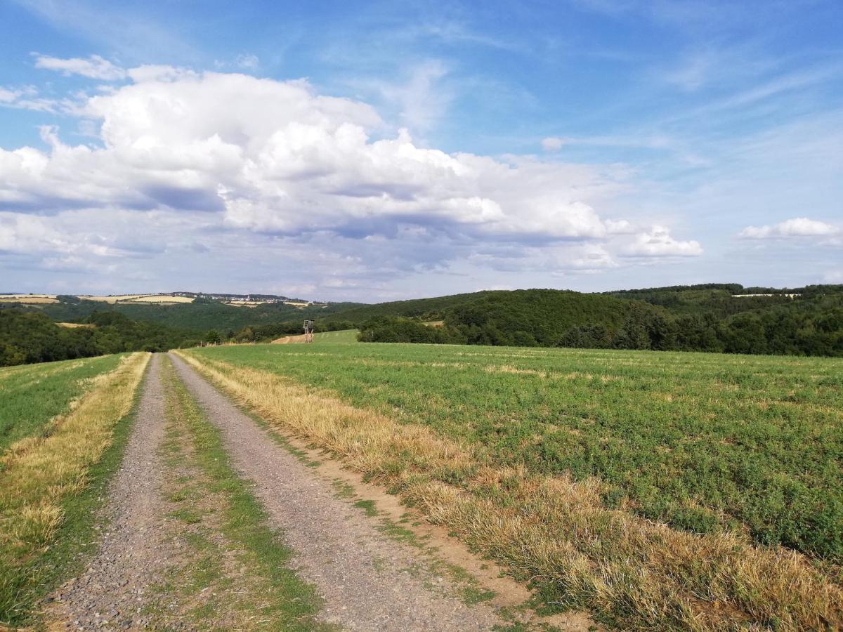 Ferienwohnung Altmaier - Ferien Auf Dem Lande Griebelschied Exterior photo